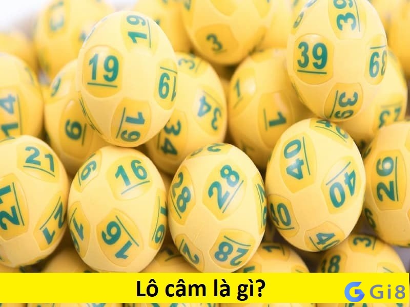 Lô câm có hình thức chơi như thế nào? Lô câm có hình thức chơi như thế nào?