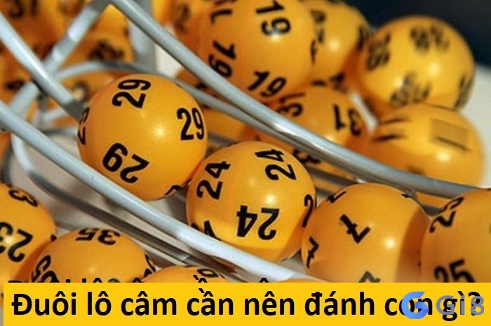 Đuôi lô câm cần nên đánh con gì? Đuôi lô câm cần nên đánh con gì?