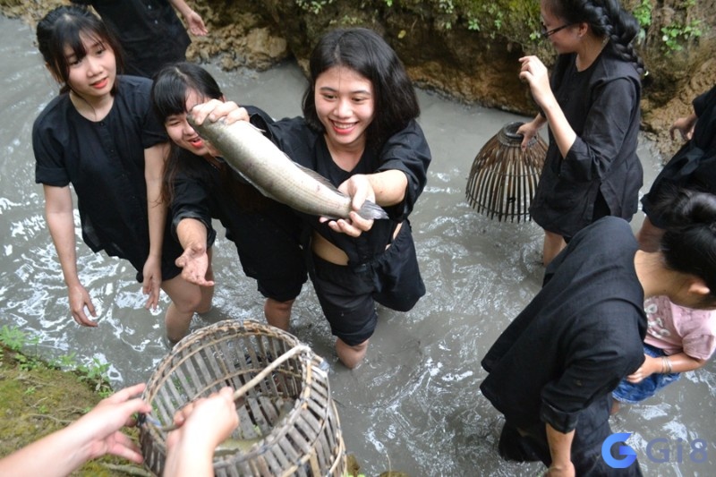 Chiêm bao thấy bắt cá đem đến nhiều điềm báo thú vị Chiêm bao thấy bắt cá đem đến nhiều điềm báo thú vị