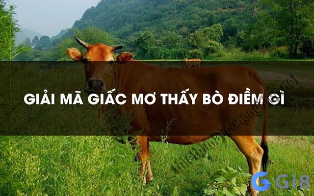 Khám phá ý nghĩa khi chiêm bao thấy bò Khám phá ý nghĩa khi chiêm bao thấy bò