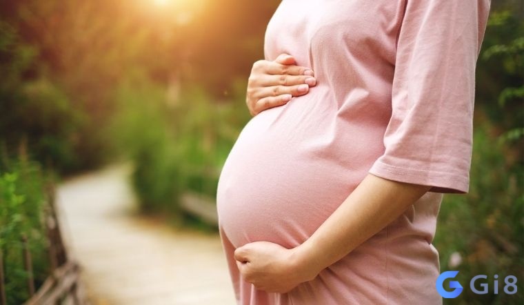 Giấc mơ có bầu mang lại nhiều con số may mắn giúp bạn phát tài Giấc mơ có bầu mang lại nhiều con số may mắn giúp bạn phát tài