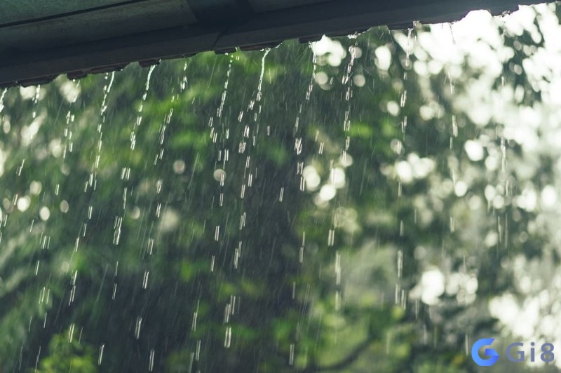 Chiêm bao thấy mưa rào đang báo hiệu thử thách Chiêm bao thấy mưa rào đang báo hiệu thử thách