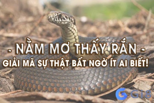 Quan niệm về việc chiêm bao thấy rắn đuổi Quan niệm về việc chiêm bao thấy rắn đuổi