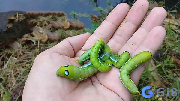 Nằm chiêm bao thấy sâu bò lên người bạn nên cẩn thận vì đó là điềm không tốt Nằm chiêm bao thấy sâu bò lên người bạn nên cẩn thận vì đó là điềm không tốt