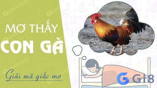 Giải mã giấc mơ thấy gà mái là điềm gì? Giải mã giấc mơ thấy gà mái là điềm gì?