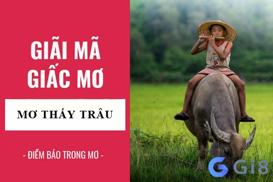 Ý nghĩa khi mơ thấy giết trâu là gì? Ý nghĩa khi mơ thấy giết trâu là gì?
