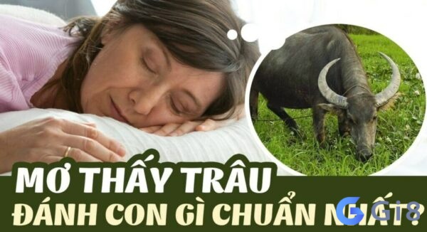 Mơ thấy giết trâu đánh con gì dễ trúng nhất? Mơ thấy giết trâu đánh con gì dễ trúng nhất?