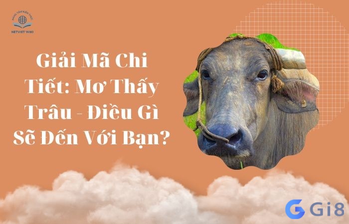 Mơ thấy giết trâu mang đến điềm gì Mơ thấy giết trâu mang đến điềm gì