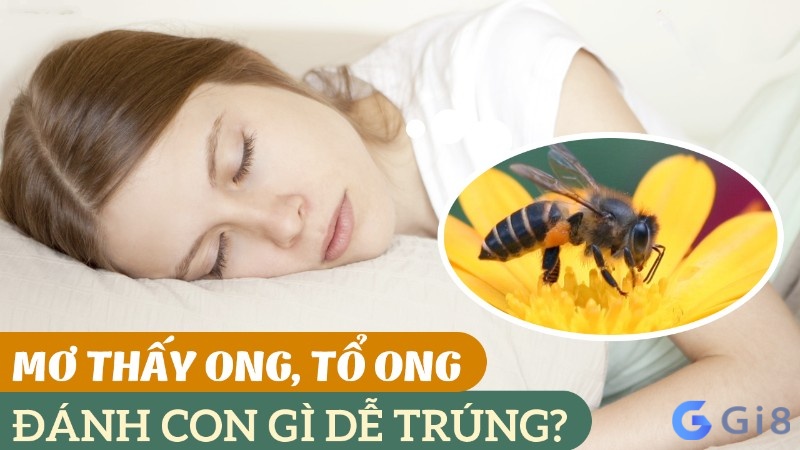 Mơ thấy ong vò vẽ đánh con gì dễ trúng? Mơ thấy ong vò vẽ đánh con gì dễ trúng?