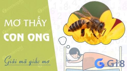 Ý nghĩa về việc mơ thấy ong Ý nghĩa về việc mơ thấy ong