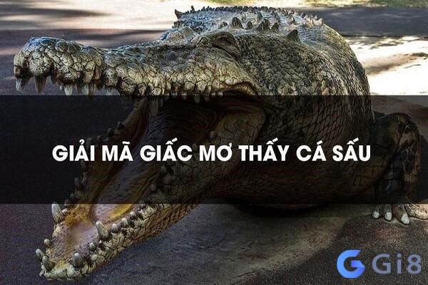 Giải mã giấc mơ thấy cá sấu, nằm mơ thấy cá sấu đánh con gì dễ trúng nhất? Giải mã giấc mơ thấy cá sấu, nằm mơ thấy cá sấu đánh con gì dễ trúng nhất?