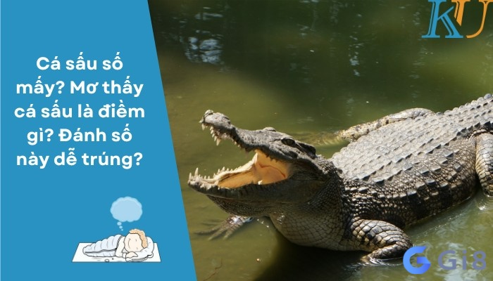 Nằm mơ thấy cá sấu đánh con gì dễ trúng lô đề nhất? Nằm mơ thấy cá sấu đánh con gì dễ trúng lô đề nhất?