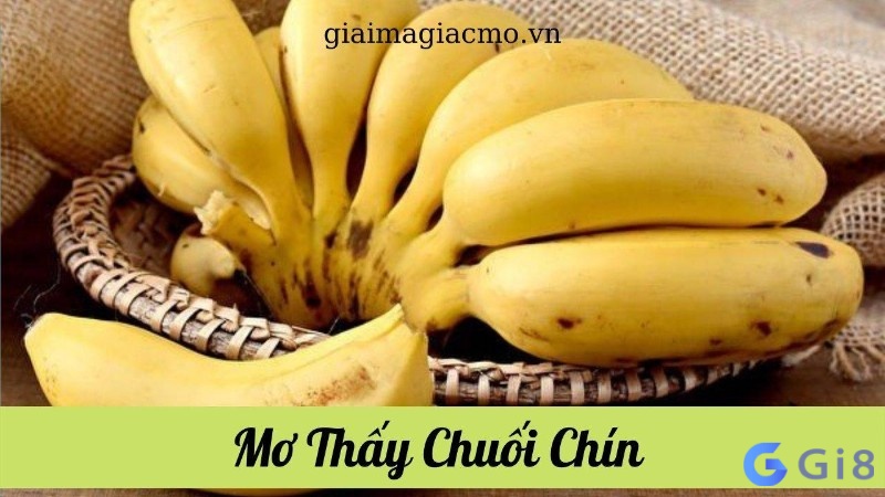 Ý nghĩa của giấc chiêm bao thấy chuối chín Ý nghĩa của giấc chiêm bao thấy chuối chín