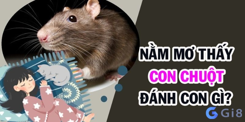 Chiêm bao thấy chuột đánh con gì? Chiêm bao thấy chuột đánh con gì?
