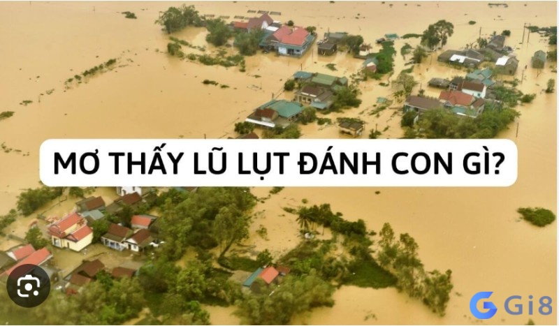 Chiêm bao thấy nước lũ đánh con gi? Chiêm bao thấy nước lũ đánh con gi?