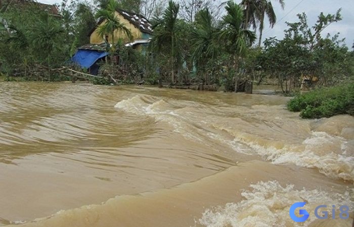 Mơ thấy lũ đánh đề còn gì cho trúng? Mơ thấy lũ đánh đề còn gì cho trúng?