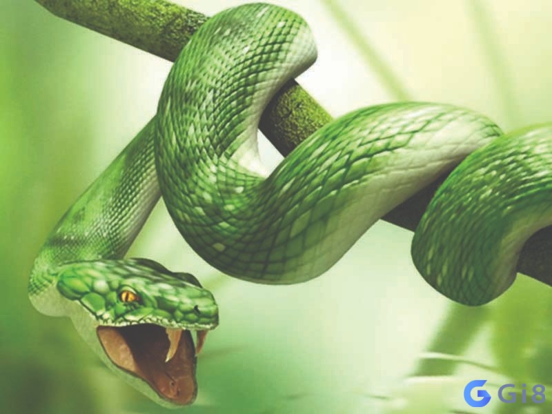 Mơ thấy bị rắn màu xanh cắn liên quan nhiều đến vấn đề công việc Mơ thấy bị rắn màu xanh cắn liên quan nhiều đến vấn đề công việc