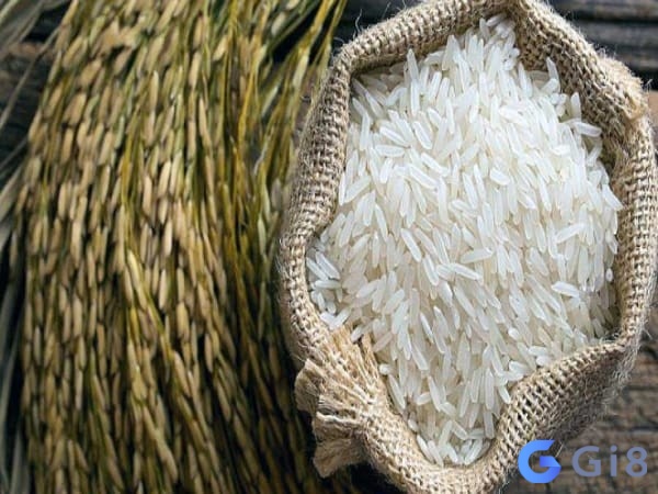 Nằm mơ thấy anh em được ai đó cho gạo báo hiệu may mắn Mơ thấy gạo đánh con gì? Mơ thấy ai đó cho gạo đánh số: 44