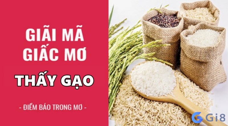 Ý nghĩa ẩn chứa đằng sau giấc mơ thấy gạo Mơ thấy gạo đánh con gì phát tài? Ý nghĩa giấc mơ thấy gạo