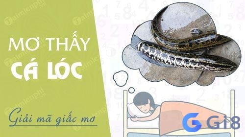 Điềm báo tốt khi chiêm bao thấy cá lóc Điềm báo tốt khi chiêm bao thấy cá lóc