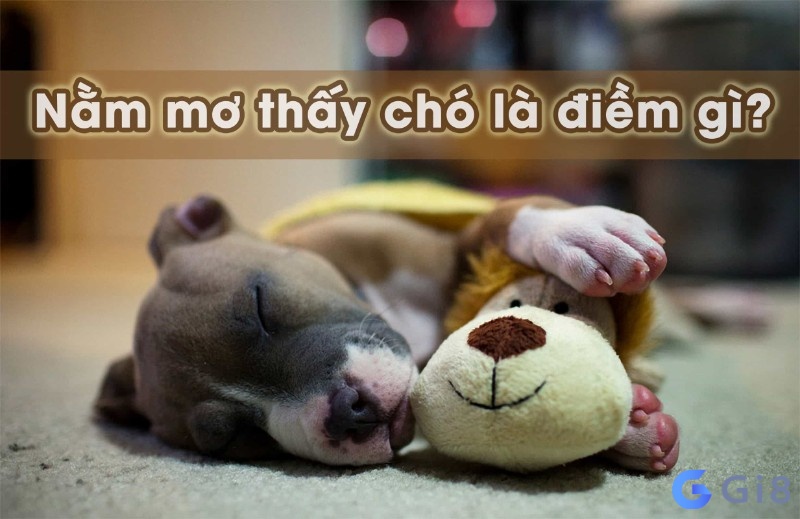 Điềm báo tốt khi nằm chiêm bao thấy chó Những điềm báo tốt khi ngủ mơ thấy chó