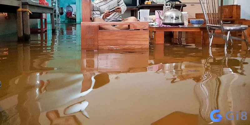 Chiêm bao thấy nước tràn vào nhà mang lại rất nhiều con số đề Chiêm bao thấy nước tràn vào nhà mang lại rất nhiều con số đề