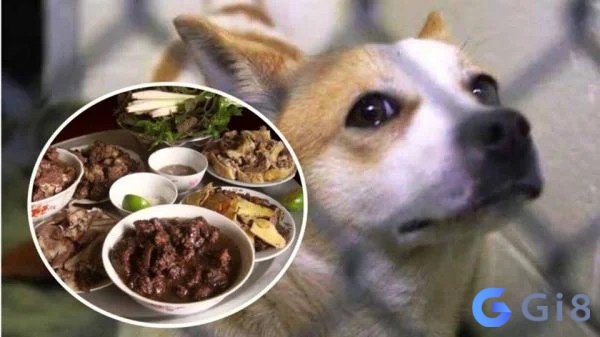 Mơ thấy làm thịt chó đánh con gì hôm sau trúng lô lớn đổi đời ngay? Mơ thấy làm thịt chó đánh con gì hôm sau trúng lô lớn đổi đời ngay?