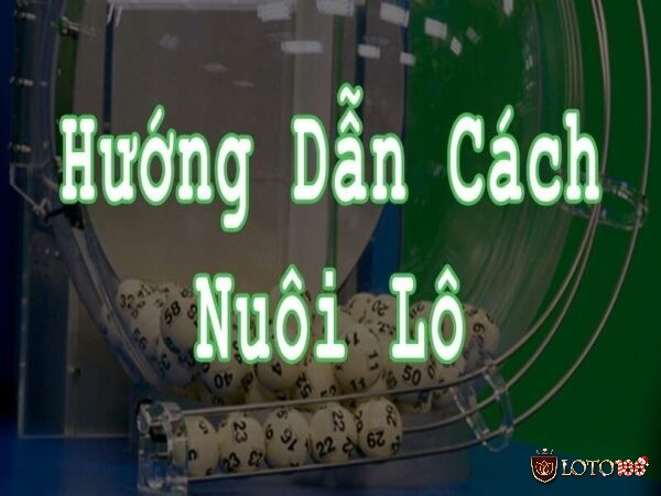 Các hình thức nuôi lô phổ biến hiệu quả nhất hiện nay Các hình thức nuôi lô phổ biến hiệu quả nhất hiện nay