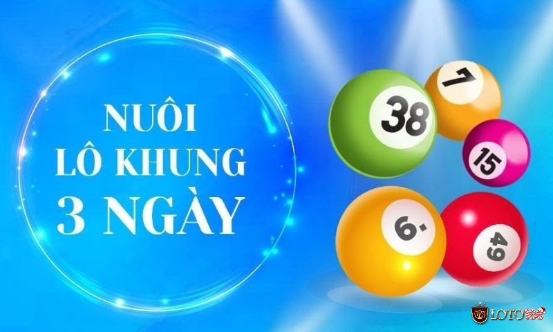 Nuôi lô khung 3 ngày hiệu quả Nuôi lô khung 3 ngày hiệu quả