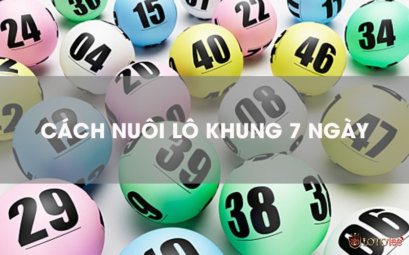 Áp dụng nuôi lô khung 7 ngày đem lại lợi nhuận khủng Áp dụng nuôi lô khung 7 ngày đem lại lợi nhuận khủng