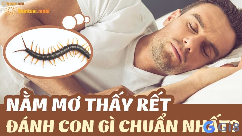 Giải mã gặp rết đánh con gì cùng Gi88 nhé! Giải mã gặp rết đánh con gì cùng Gi88 nhé!