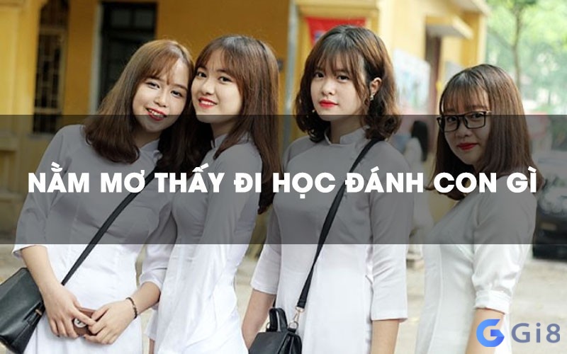 Mơ đi học đánh con gì trúng ăn được tiền thưởng? Mơ đi học đánh con gì trúng ăn được tiền thưởng?