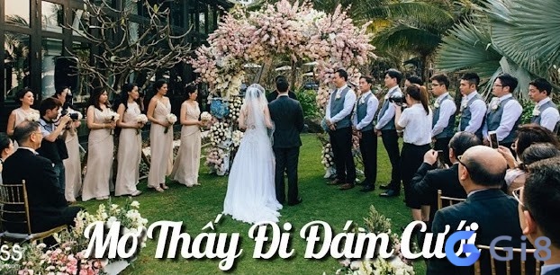 Mơ thấy dự đám cưới là điềm báo gì? Mơ thấy dự đám cưới là điềm báo gì?