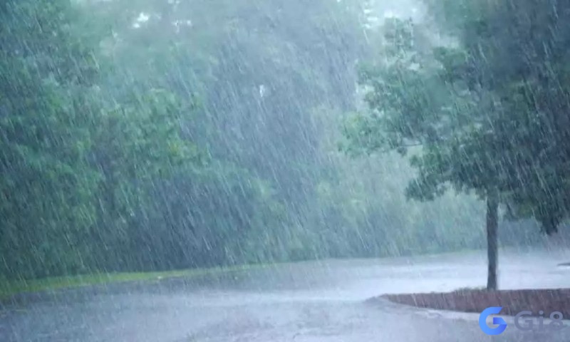 Mơ thấy con mưa lớn là điềm báo tốt về tài chính Mơ thấy con mưa lớn là điềm báo tốt về tài chính