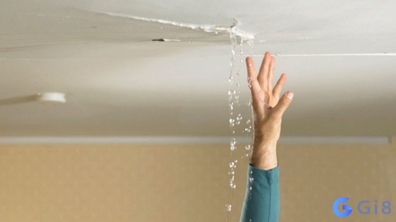 Ngủ mơ thấy trời mưa và nhà bị dột là thông báo may mắn lớn sẽ đến với bạn, hãy cố gắng nắm bắt những cơ hội này! Ngủ mơ thấy trời mưa và nhà bị dột là thông báo may mắn lớn sẽ đến với bạn, hãy cố gắng nắm bắt những cơ hội này!