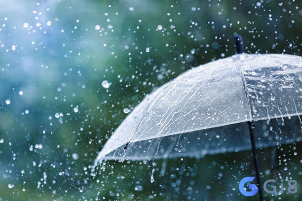 Mơ thấy mưa đánh con gì đẹp và tỷ lệ trúng cao? Mơ thấy mưa đánh con gì đẹp và tỷ lệ trúng cao?