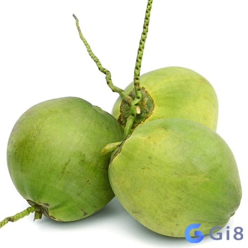 Chiêm bao thấy 3 trái dừa là điềm báo rất tốt Chiêm bao thấy 3 trái dừa là điềm báo rất tốt
