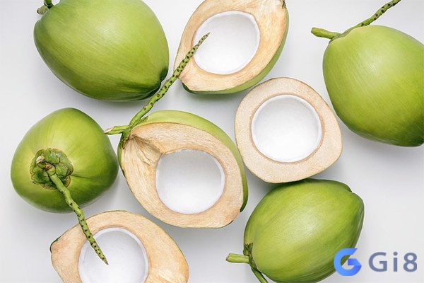 Nằm mơ thấy trái dừa có rất nhiều ý nghĩa khác nhau Nằm mơ thấy trái dừa có rất nhiều ý nghĩa khác nhau