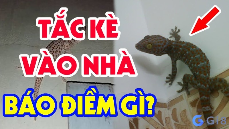 Cùng Gi88.org tìm hiểu chi tiết về giấc mơ thấy con tắc kè đánh đề số mấy nhé Cùng Gi88.org tìm hiểu chi tiết về giấc mơ thấy con tắc kè đánh đề số mấy nhé