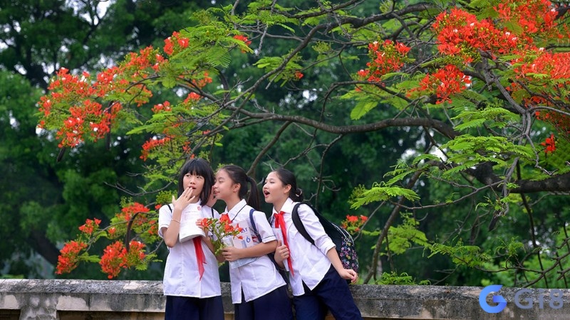 Mơ đi học đánh đề con gì? Bí mật đằng sau giấc mơ đi học Mơ đi học đánh đề con gì? Bí mật đằng sau giấc mơ đi học
