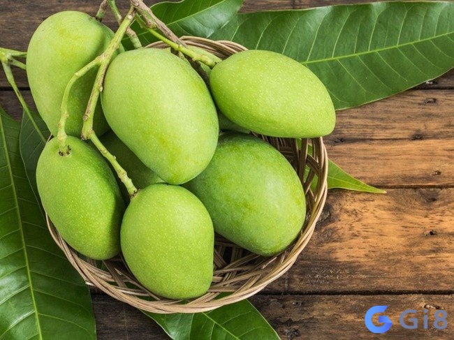Bạn cần thời gian để trau dồi kinh nghiệm để thực hiện ước mơ khi mộng thấy hái xoài xanh Bạn cần thời gian để trau dồi kinh nghiệm để thực hiện ước mơ khi mộng thấy hái xoài xanh