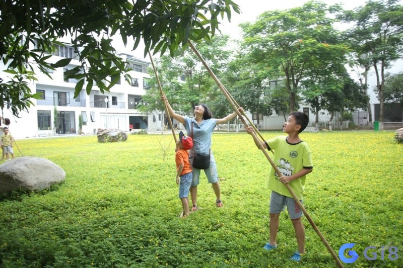 Mơ thấy hái xoài đó là dấu hiệu tích cực trong công việc Mơ thấy hái xoài đó là dấu hiệu tích cực trong công việc