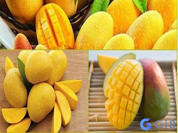 Nằm mơ thấy hái xoài chín đánh con gì hiệu quả nhất Nằm mơ thấy hái xoài chín đánh con gì hiệu quả nhất
