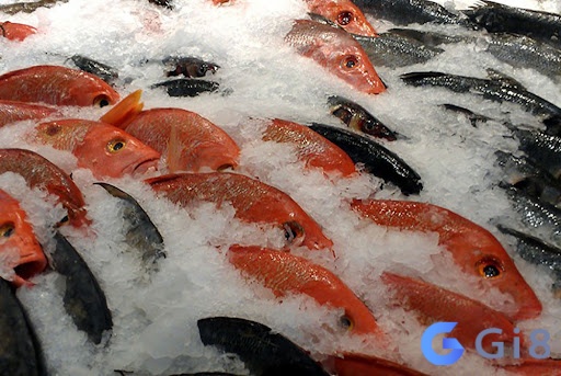 Mơ thấy mua cá đông lạnh chứa đựng nhiều điềm báo Mơ thấy mua cá đông lạnh chứa đựng nhiều điềm báo