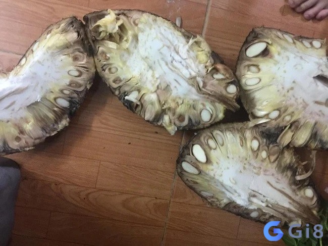 Chiêm bao thấy mua mít chín bị thối đánh đề trúng lớn 24, 73 Chiêm bao thấy mua mít chín bị thối đánh đề trúng lớn 24, 73