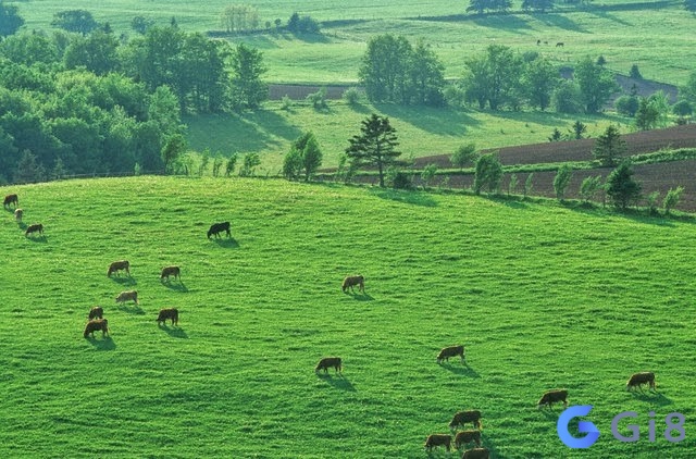 Ngủ mơ thấy đất cát đánh con số nào để vận may ngập tràn? Ngủ mơ thấy đất cát đánh con số nào để vận may ngập tràn?