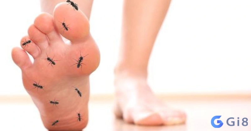 Người làm kinh doanh mơ thấy kiến đen bò lên người khi đi du lịch cho thấy sự phát triển và hưng thịnh của họ Người làm kinh doanh mơ thấy kiến đen bò lên người khi đi du lịch cho thấy sự phát triển và hưng thịnh của họ