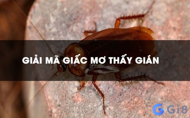 Tổng hợp các con đề may mắn nếu mơ thấy nhiều gián đánh con gì Tổng hợp các con đề may mắn nếu mơ thấy nhiều gián đánh con gì