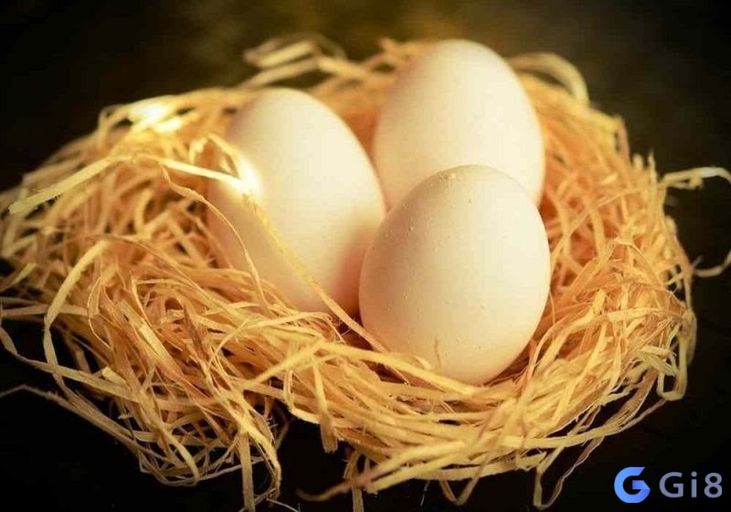 Hãy tìm hiểu xem mơ thấy ổ trứng gà thì đánh con số mấy nhé Hãy tìm hiểu xem mơ thấy ổ trứng gà thì đánh con số mấy nhé