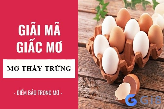 Giải mã giấc mơ thấy ổ trứng gà và những điều bí ẩn giải mã giấc mơ thấy ổ trứng gà